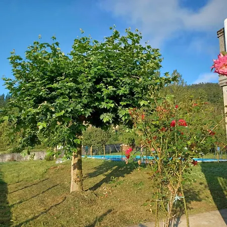 Caserio Felix 아파트 *