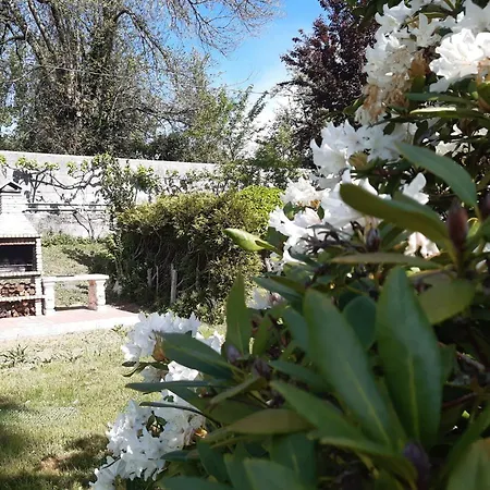 아파트 Caserio Felix *